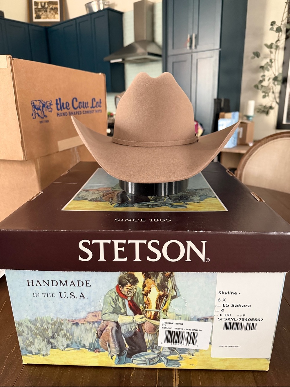 Stetson Skyline Sahara Cowboy Hat 6X, NIB, 4” Brim, Size 6 7/8 RO